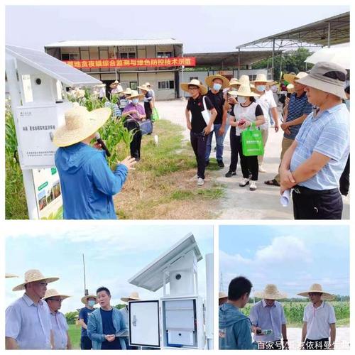 依科曼物联网智能装备,助力广东省病虫测报